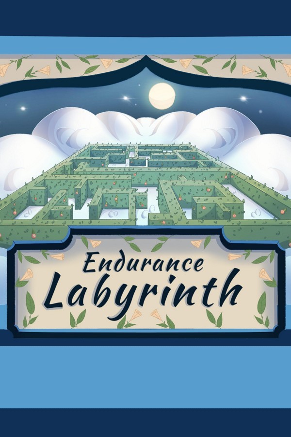 Capa do jogo Endurance Labyrinth