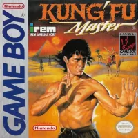 Capa de Kung' Fu Master