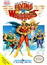 Capa de Flying Warriors