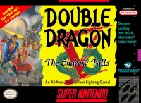 Capa de Double Dragon V: The Shadow Falls