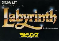 Capa de Labyrinth