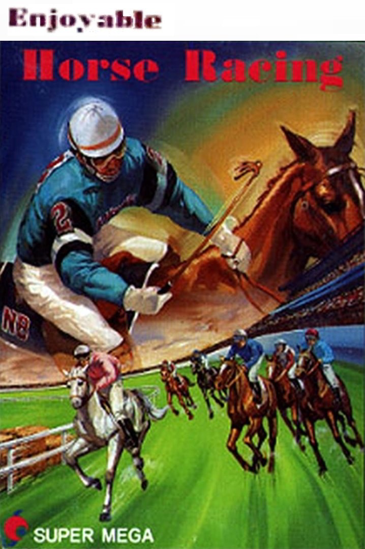 Capa do jogo 1991 Du Ma Racing