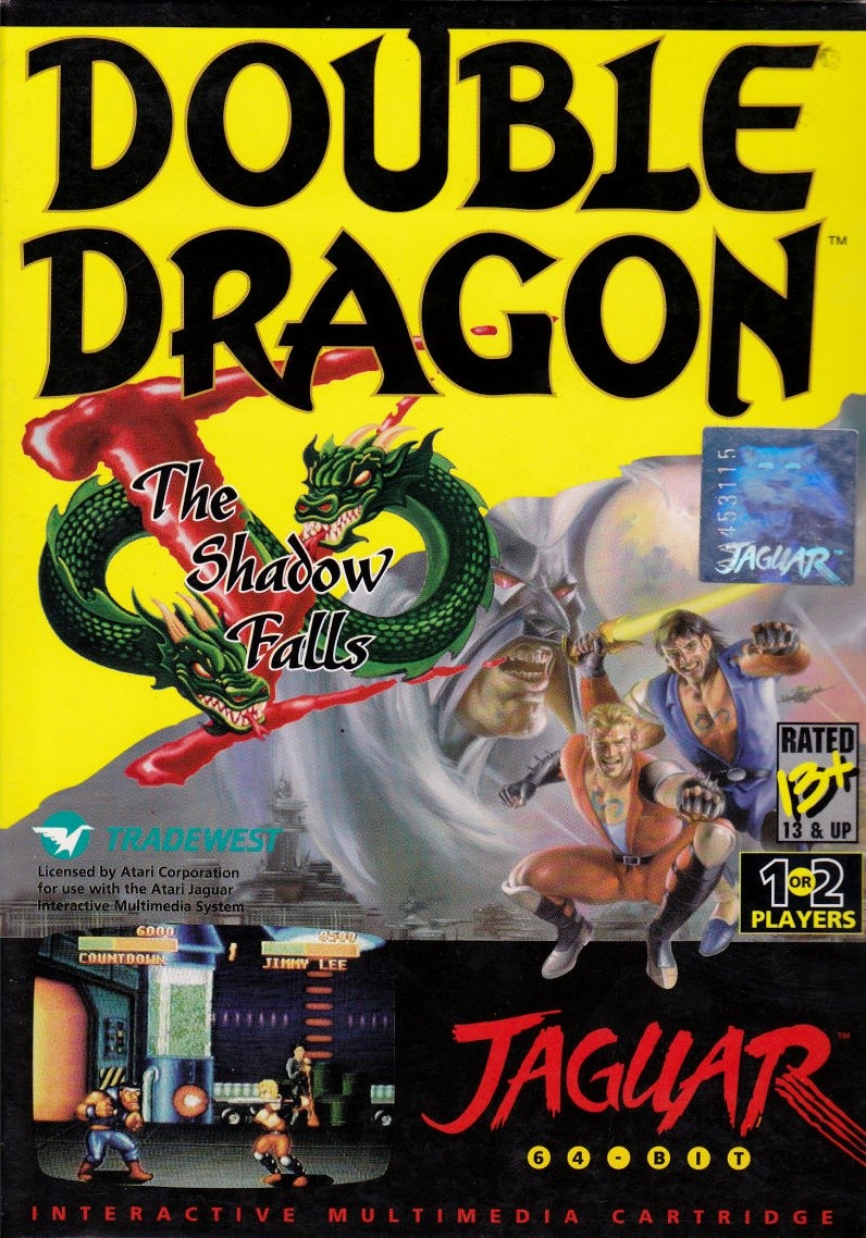 Capa do jogo Double Dragon V