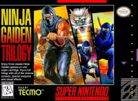 Capa de Ninja Gaiden Trilogy