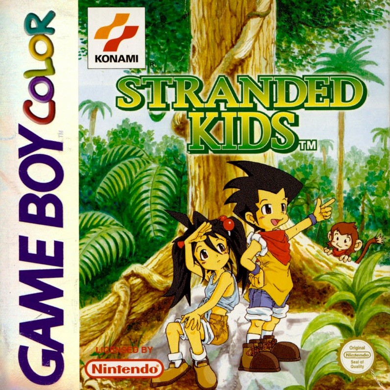 Capa do jogo Survival Kids