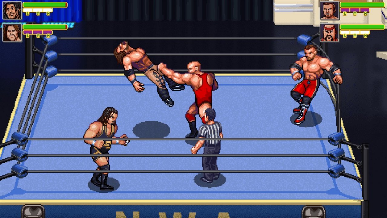 Foto do jogo RetroMania Wrestling