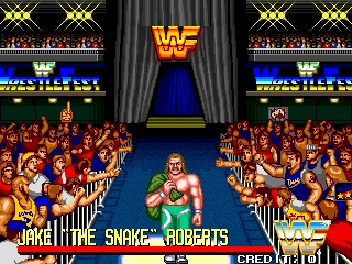 Foto do jogo WWF WrestleFest