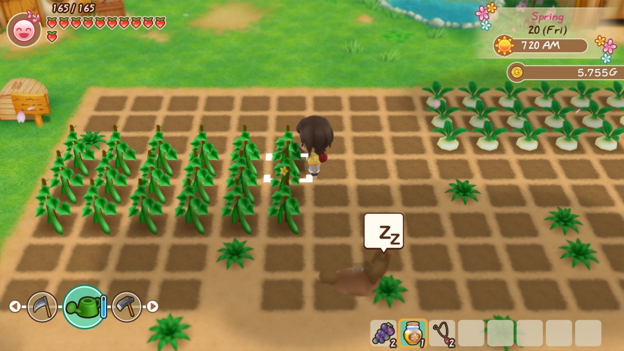 Foto do jogo Story of Seasons: Friends of Mineral Town