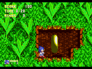 Foto do jogo Sonic the Hedgehog 3