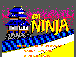 Foto do jogo The Ninja