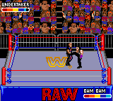 Foto do jogo WWF Raw