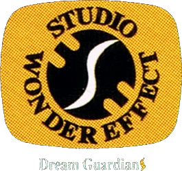 logo da desenvolvedora Studio Wonder Effect