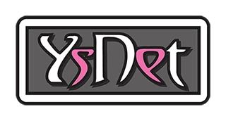 Logo da Ys Net
