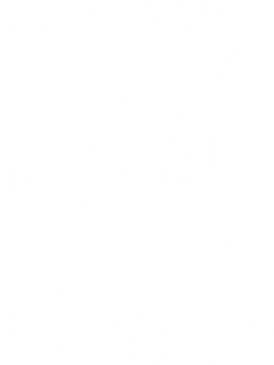 Logo da Ryu Ga Gotoku Studio