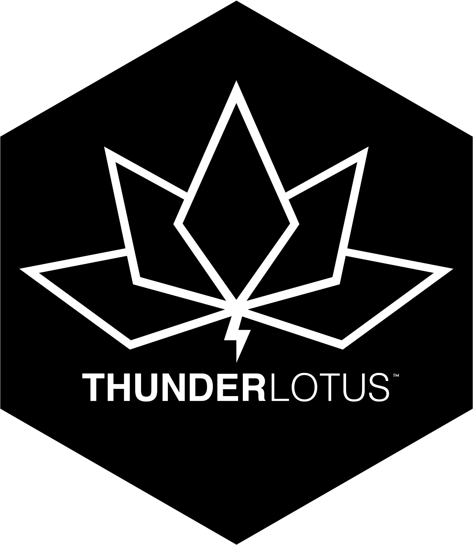Logo da Thunder Lotus Games