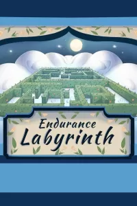 Endurance Labyrinth cover
