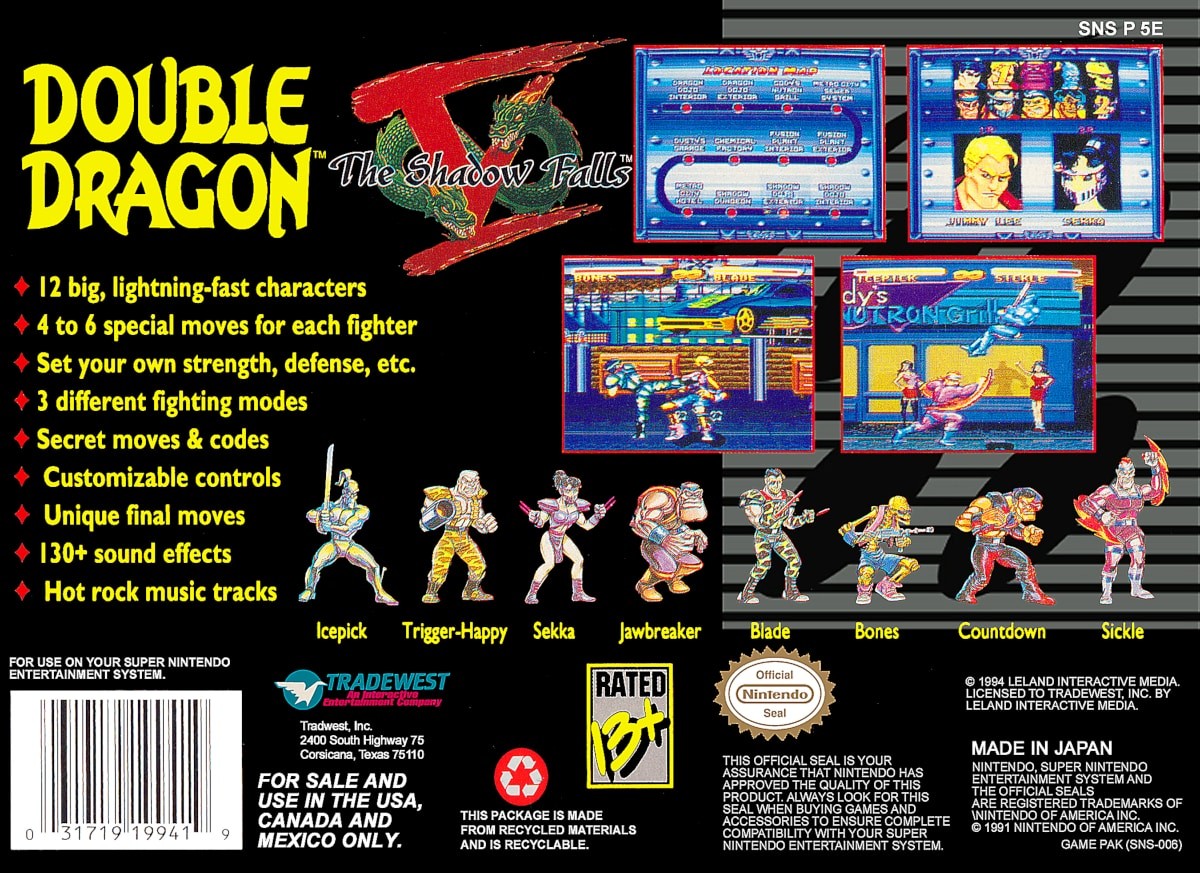 Double Dragon V: The Shadow Falls cover