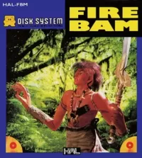 Cover of Fire Bam