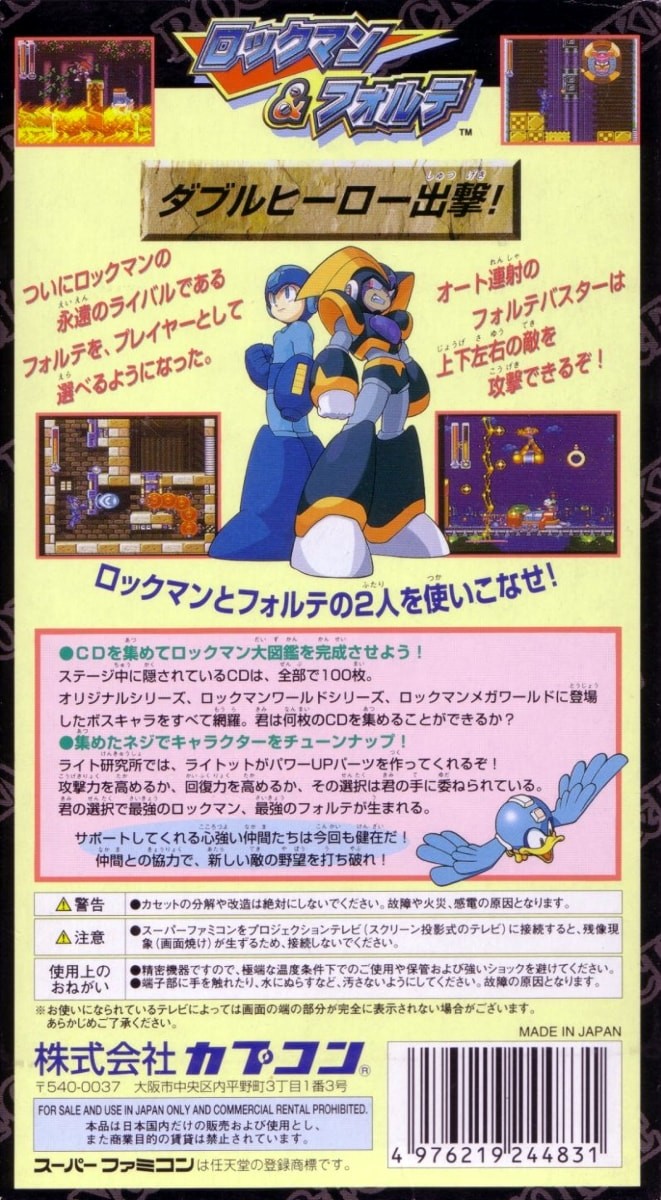 Mega Man & Bass cover