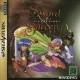 Capa de Sword & Sorcery