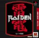 Arcade Hits: Raiden cover