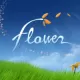 Capa de Flower