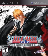 Capa de Bleach: Soul Resurrección