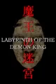 Labyrinth Of The Demon King cover