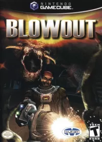 Blowout cover