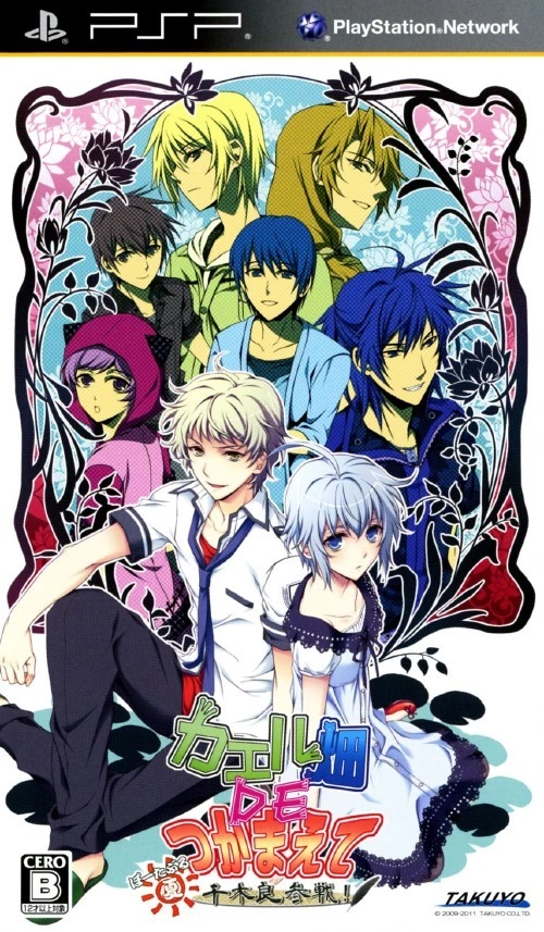 Capa do jogo Kaeru Batake de Tsukamaete: Natsu Senbokuryou Sansen Portable