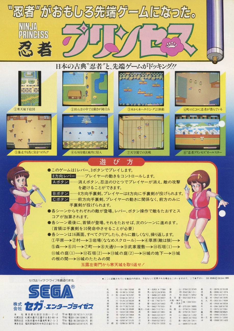 Capa do jogo Ninja Princess