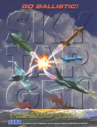 Cover of Sky Target