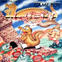 Cover of Tail 'Gator