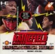 Capa de Shin Nihon Pro Wrestling 94: Battlefield in Tokyo Dome