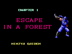 Picture of the game Ninja Gaiden