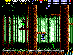 Picture of the game Ninja Gaiden