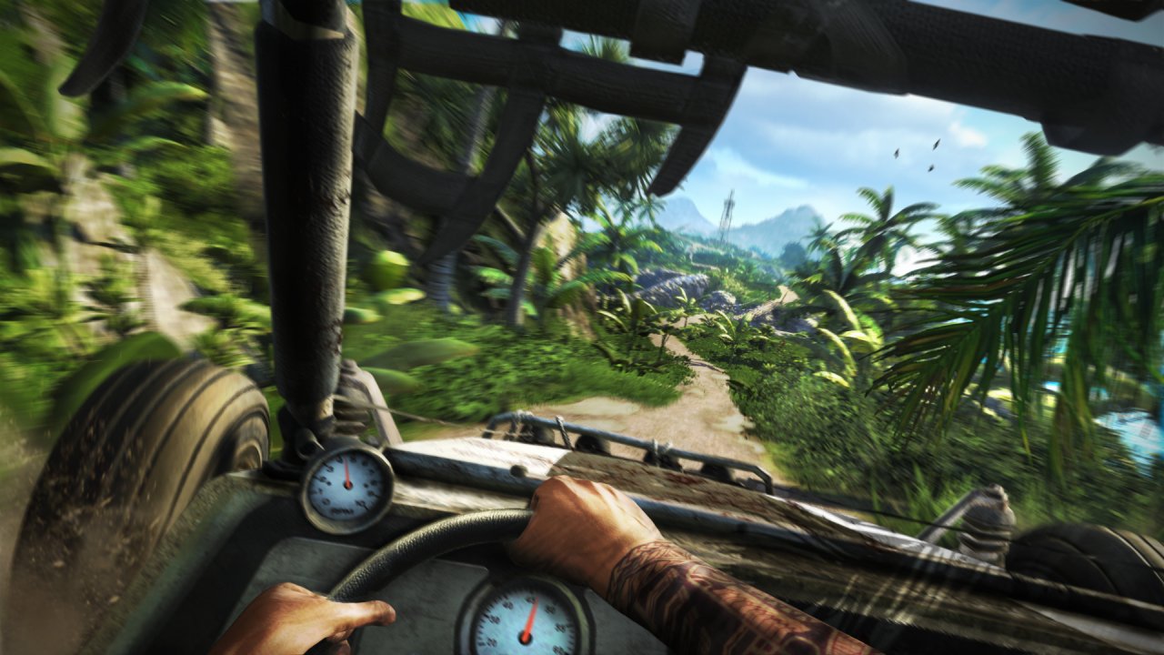 Picture of the game Far Cry 3