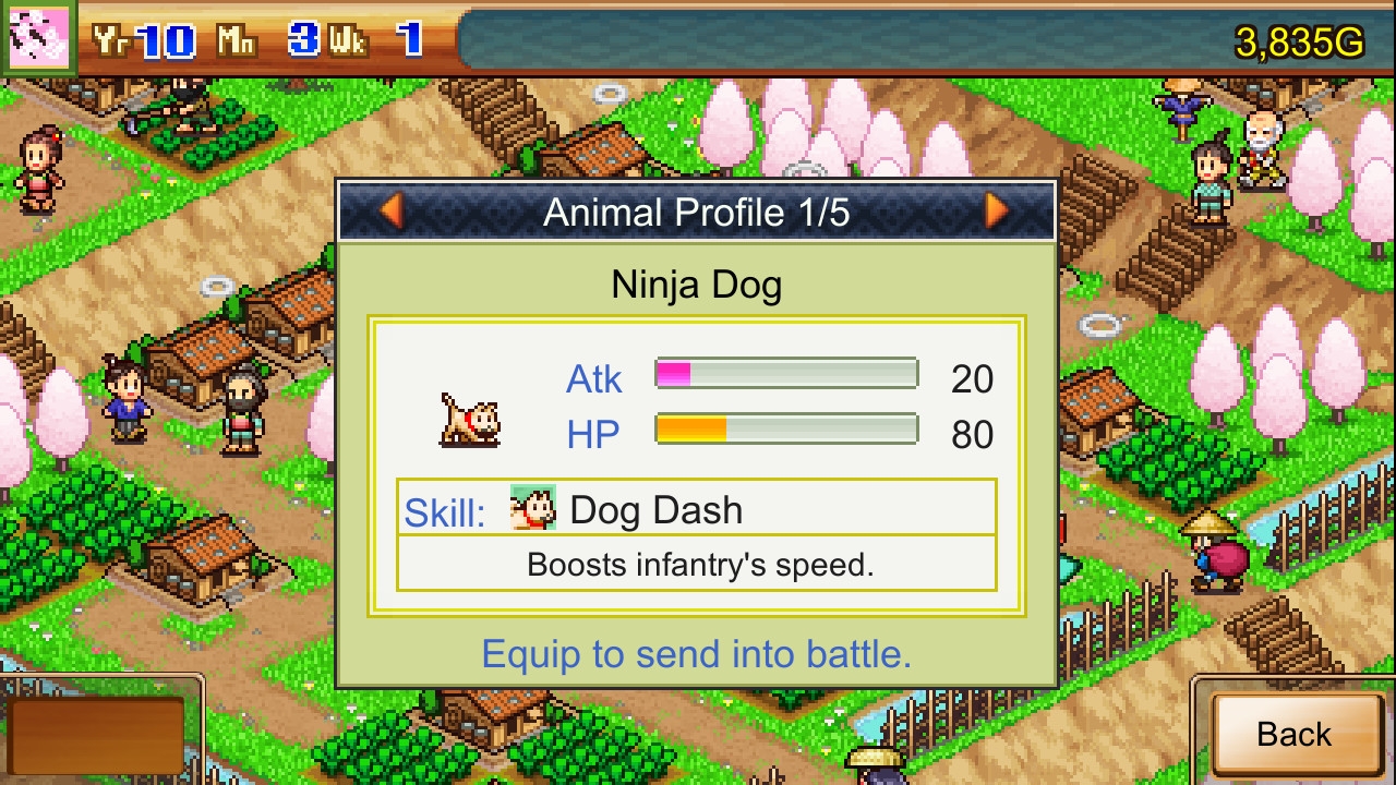 Picture of the game Ninja Village