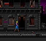 Picture of the game Double Dragon