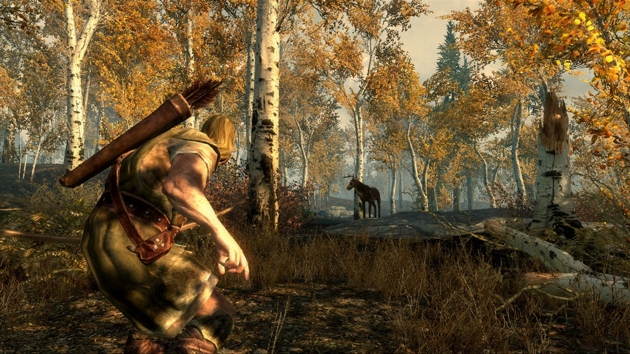 Picture of the game The Elder Scrolls V: Skyrim
