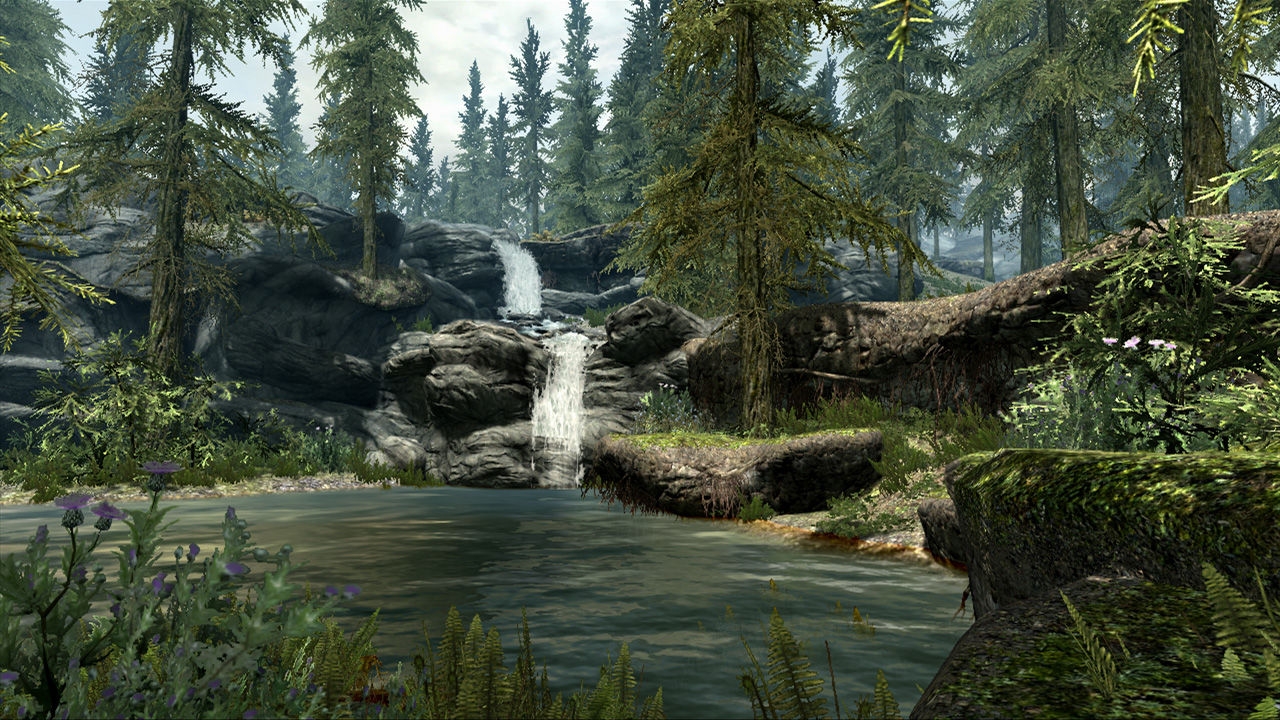 Picture of the game The Elder Scrolls V: Skyrim