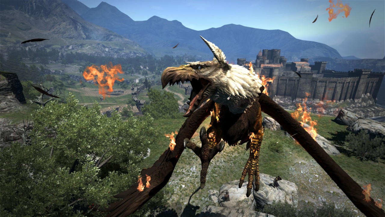 Picture of the game Dragons Dogma: Dark Arisen