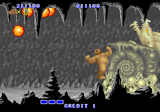 Picture of the game Altered Beast