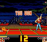 Picture of the game Fatal Fury Special