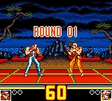 Picture of the game Fatal Fury Special