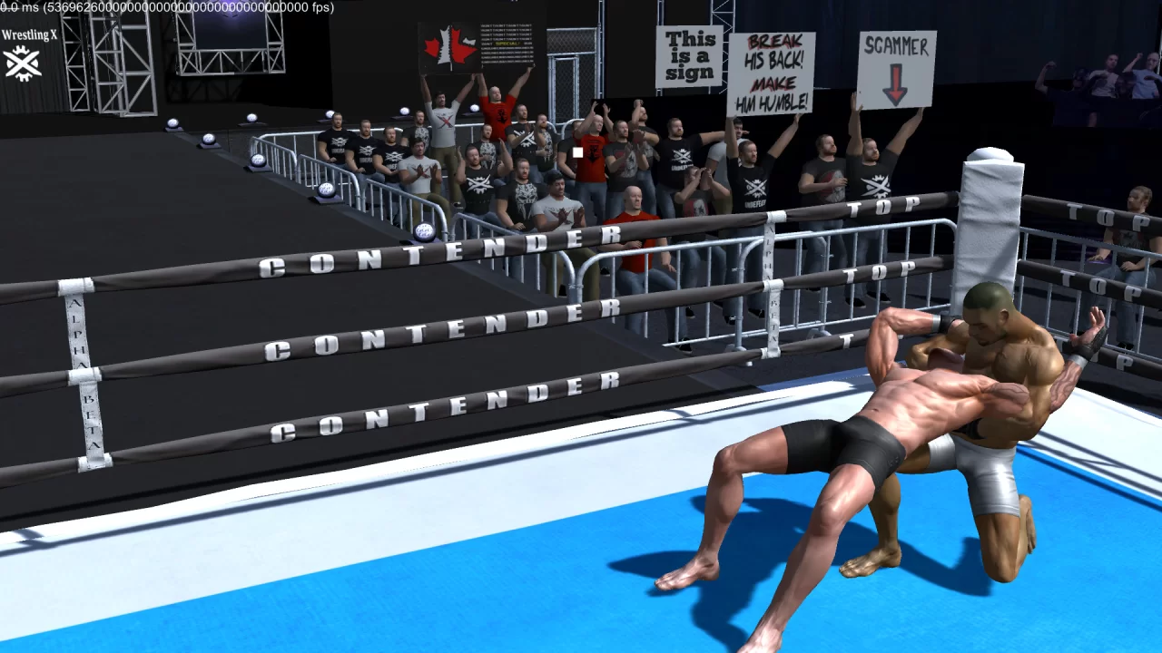 Picture of the game Pro Wrestling X