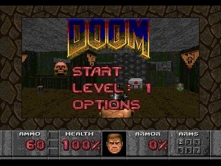 Picture of the game Doom