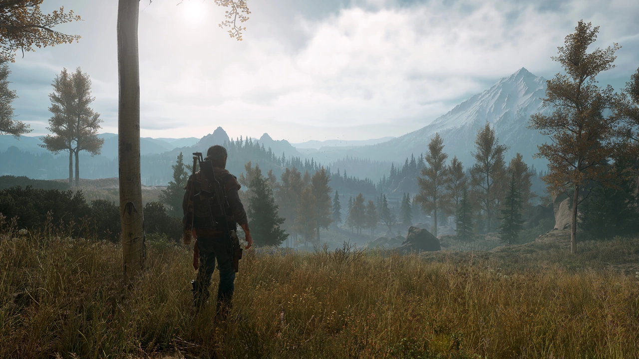 Picture of the game Days Gone