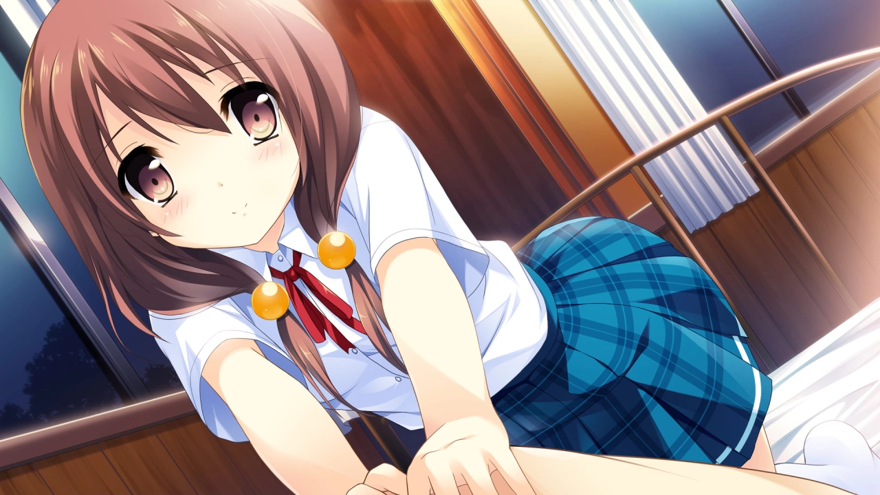 Picture of the game If My Heart Had Wings -Flight Diary-