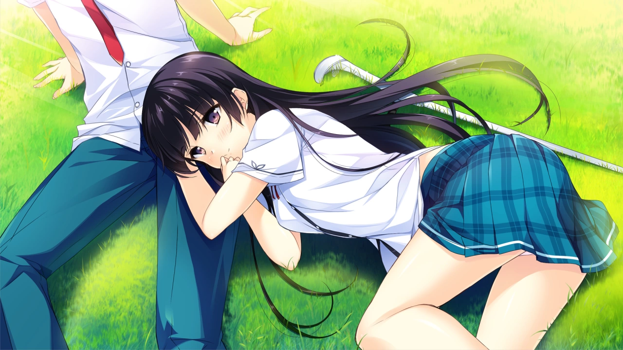 Picture of the game If My Heart Had Wings -Flight Diary-